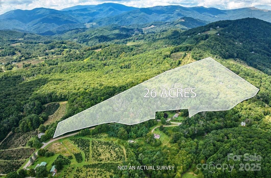Acreage at 0 Cow Camp Road, Newland, photo 4 of 19