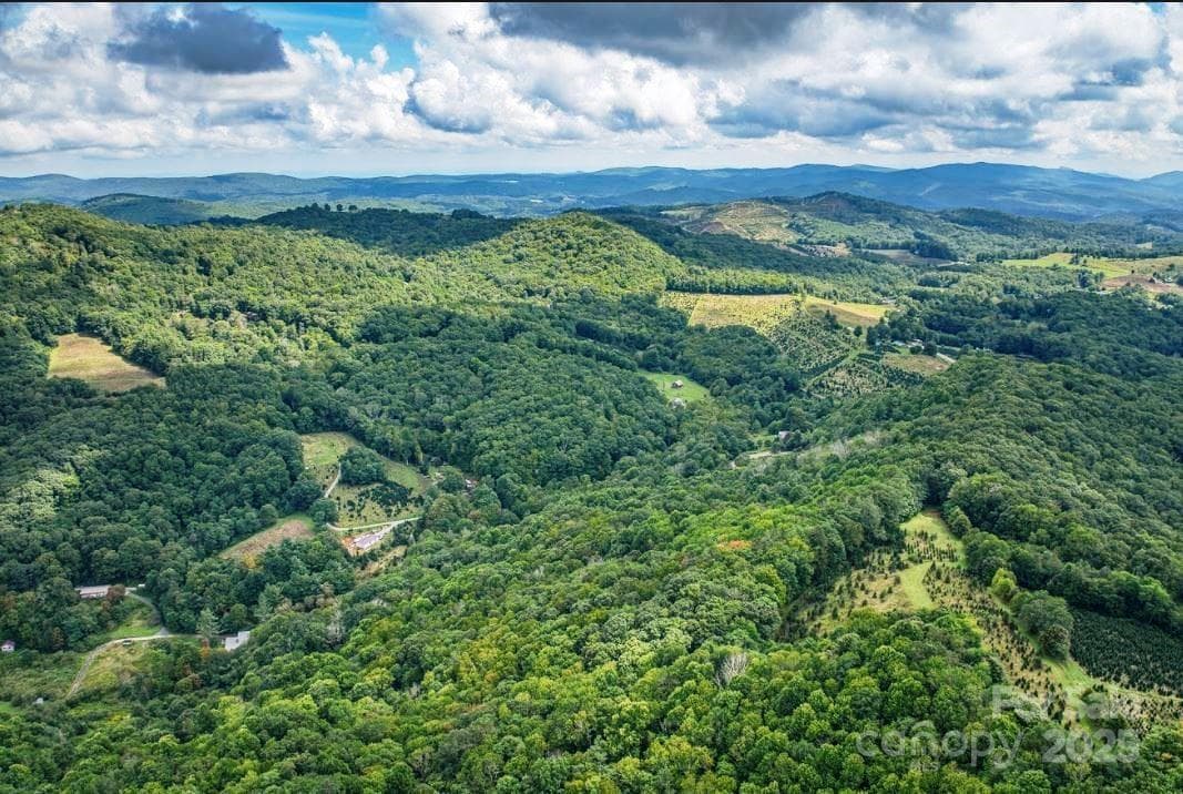 Acreage at 0 Cow Camp Road, Newland, photo 6 of 19