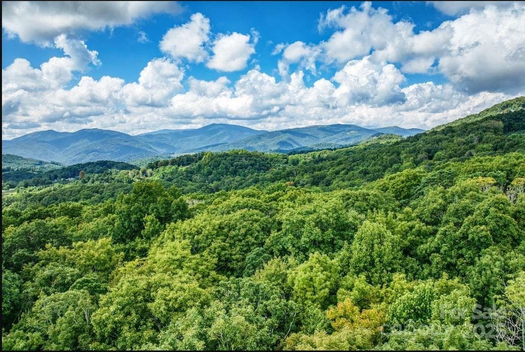 Acreage at 0 Cow Camp Road, Newland, photo 8 of 19