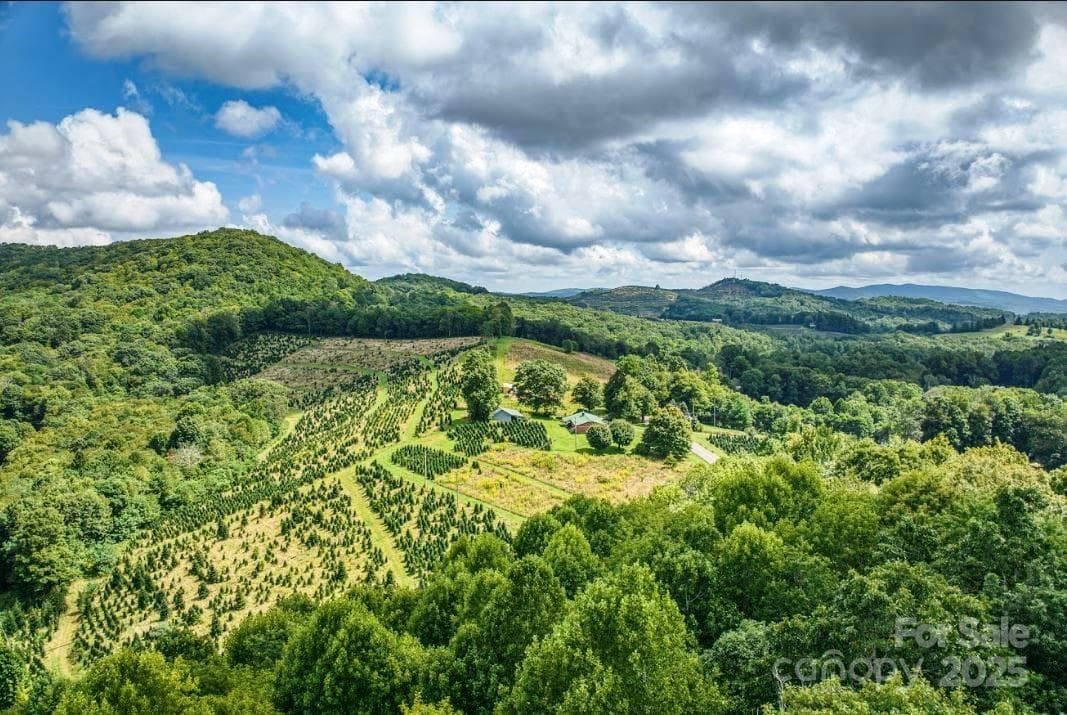 Acreage at 0 Cow Camp Road, Newland, photo 10 of 19