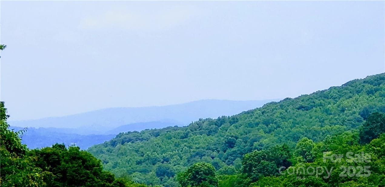 Acreage at 0 Cow Camp Road, Newland, photo 11 of 19