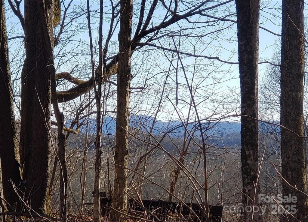 Acreage at 0 Cow Camp Road, Newland, photo 16 of 19