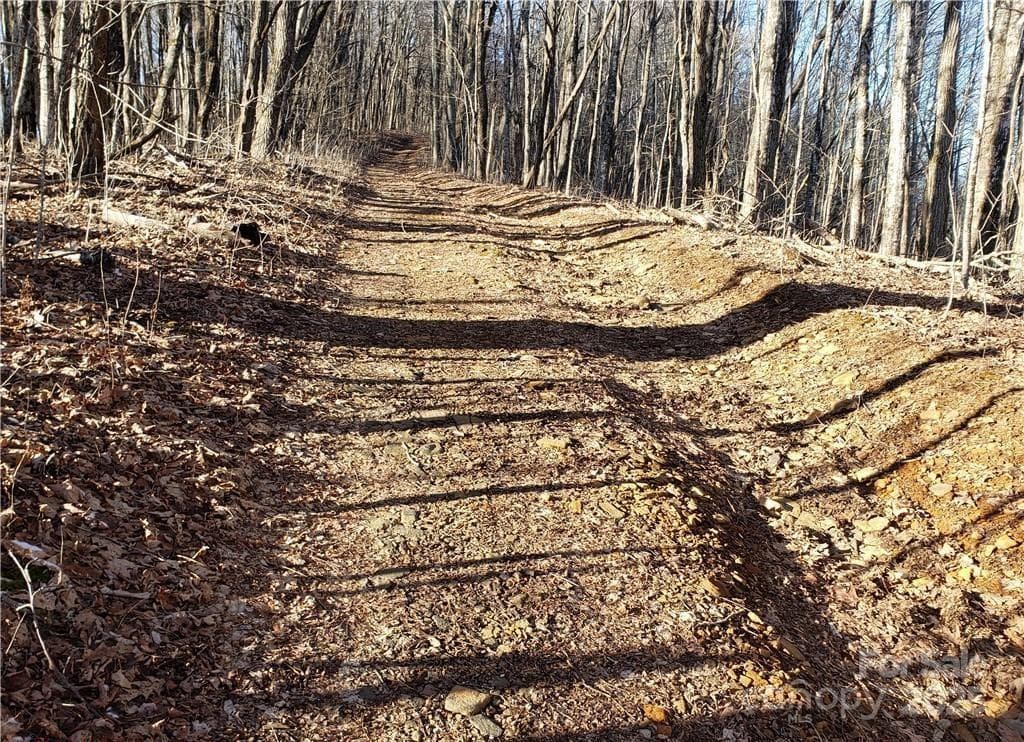 Acreage at 0 Cow Camp Road, Newland, photo 17 of 19