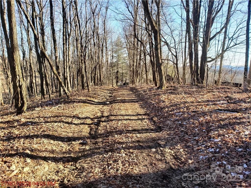 Acreage at 0 Cow Camp Road, Newland, photo 18 of 19