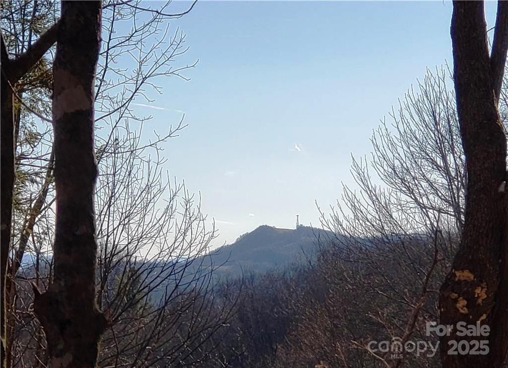 Acreage at 0 Cow Camp Road, Newland, photo 19 of 19