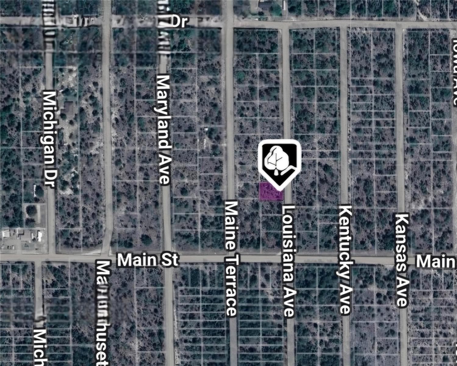 LOT 19 AND 20 LOUISIANA AVE