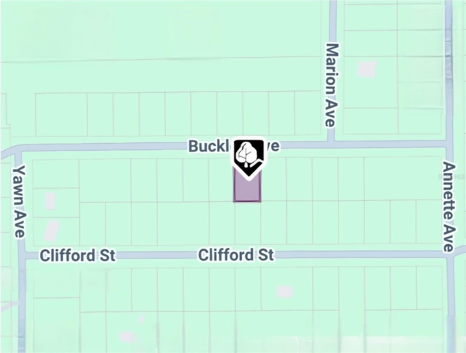 Land at LOT 8 BUCKLES AVE, INTERLACHEN, photo 4 of 5