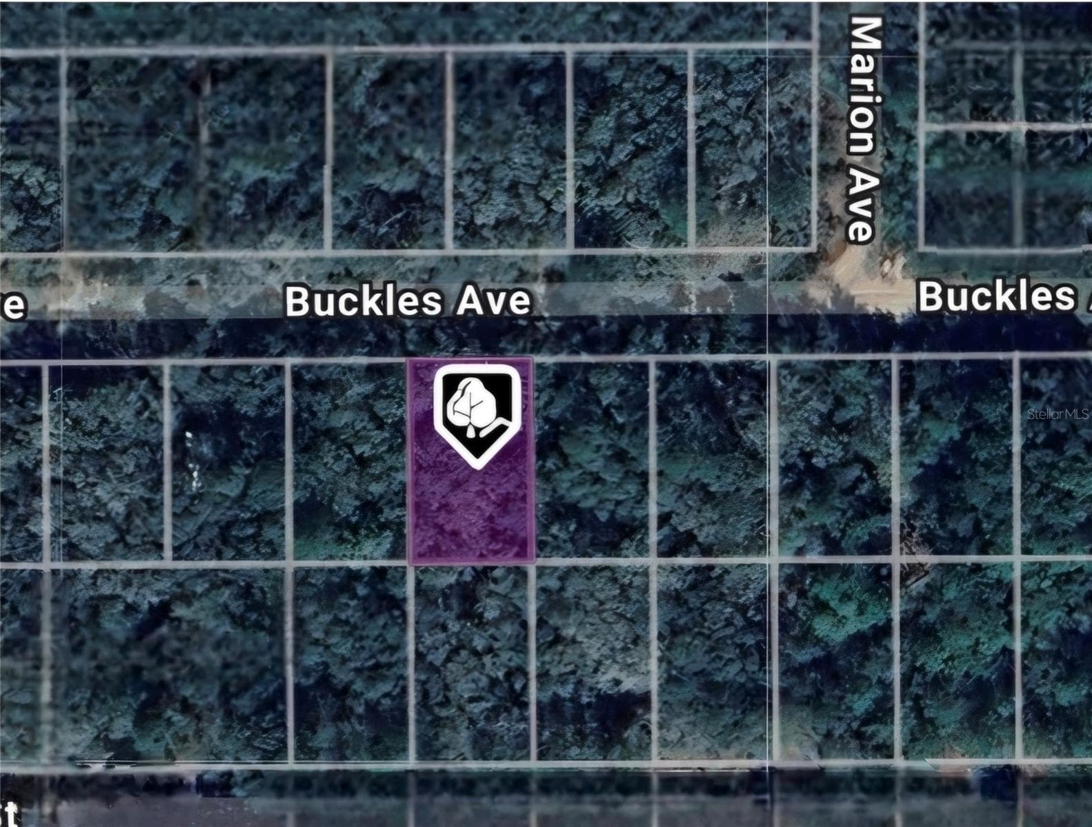 Land at LOT 8 BUCKLES AVE, INTERLACHEN, photo 2 of 5