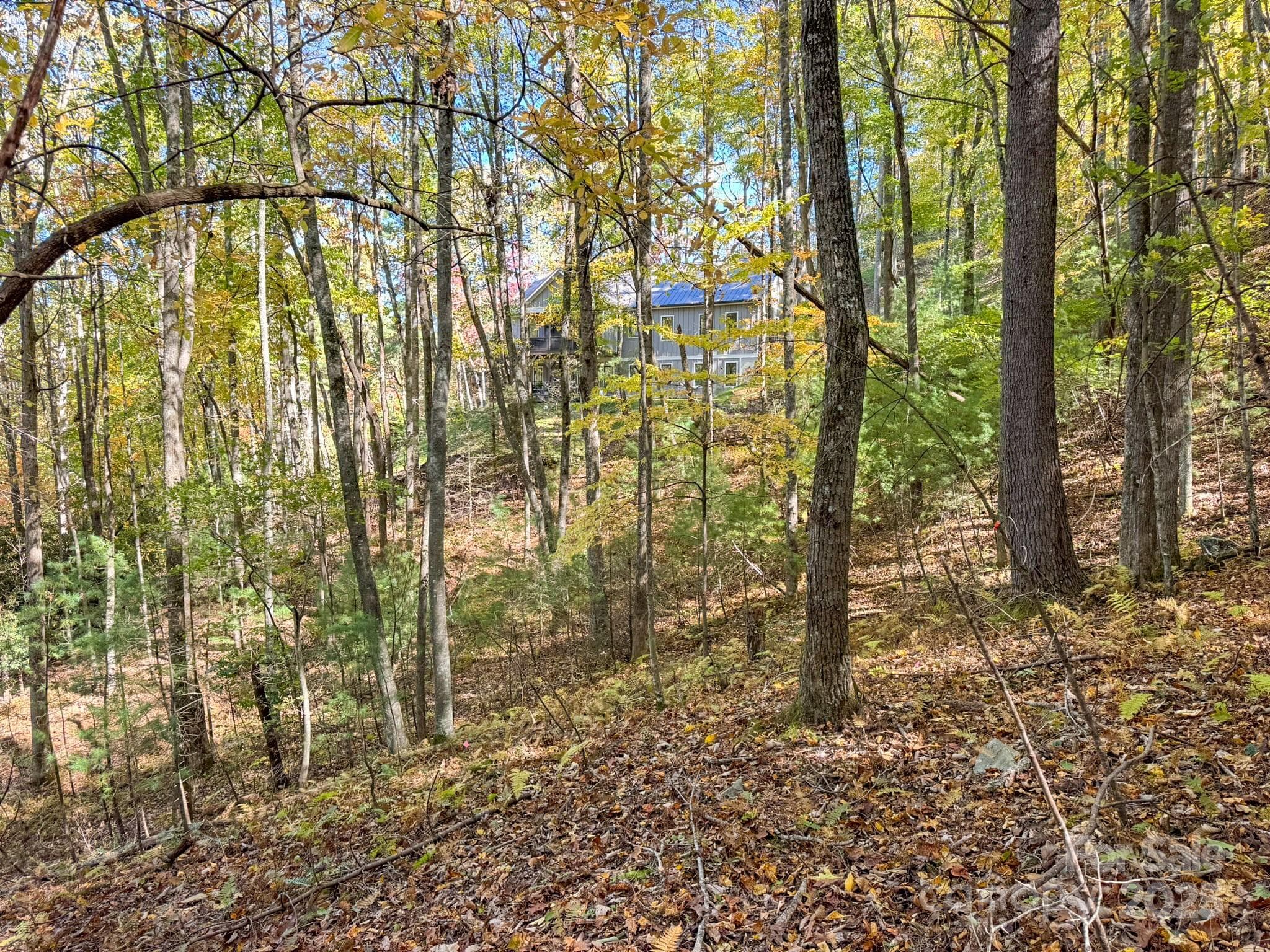 Lot at Arden, photo 4 of 25