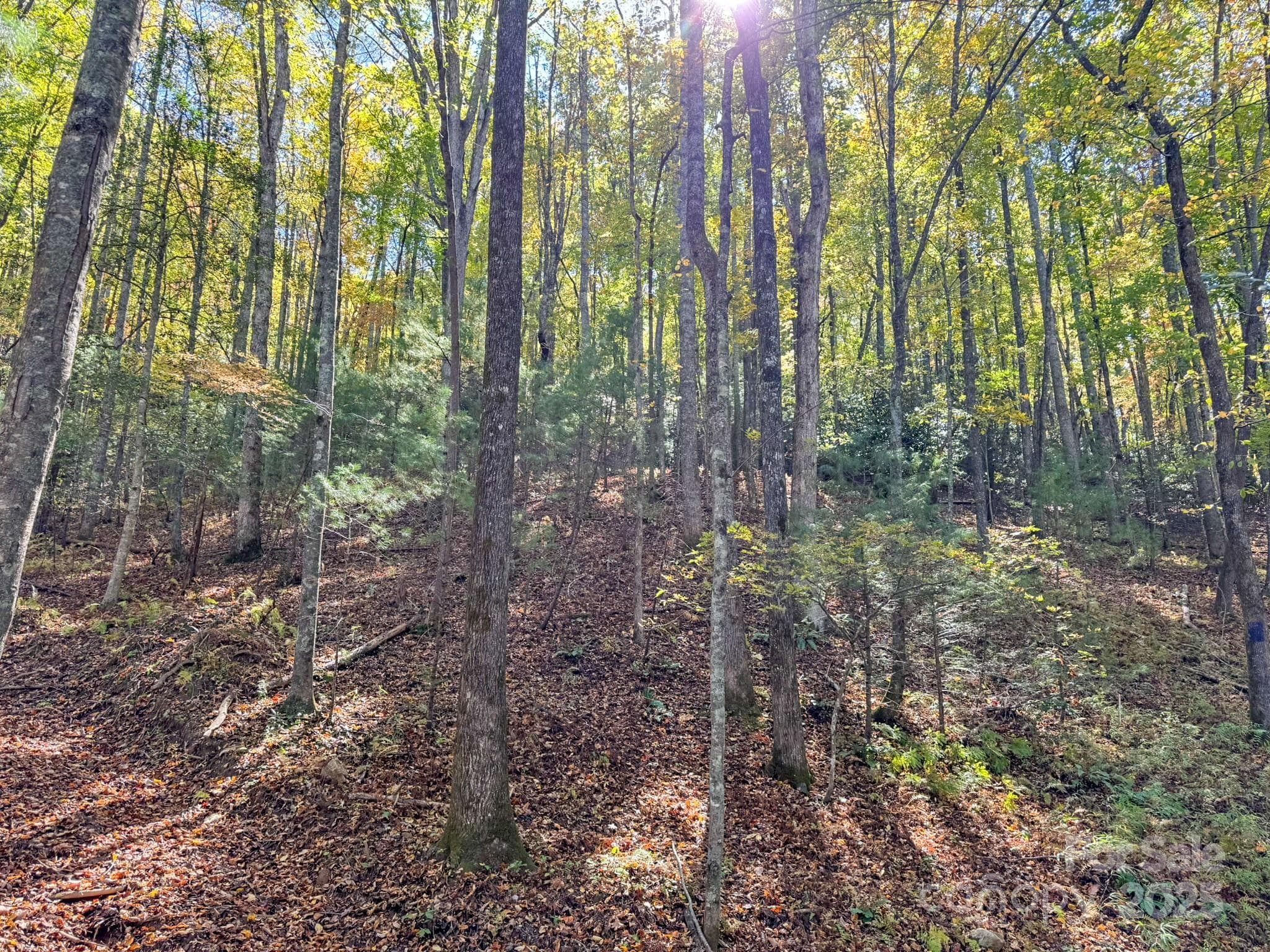 Lot at Arden, photo 5 of 25