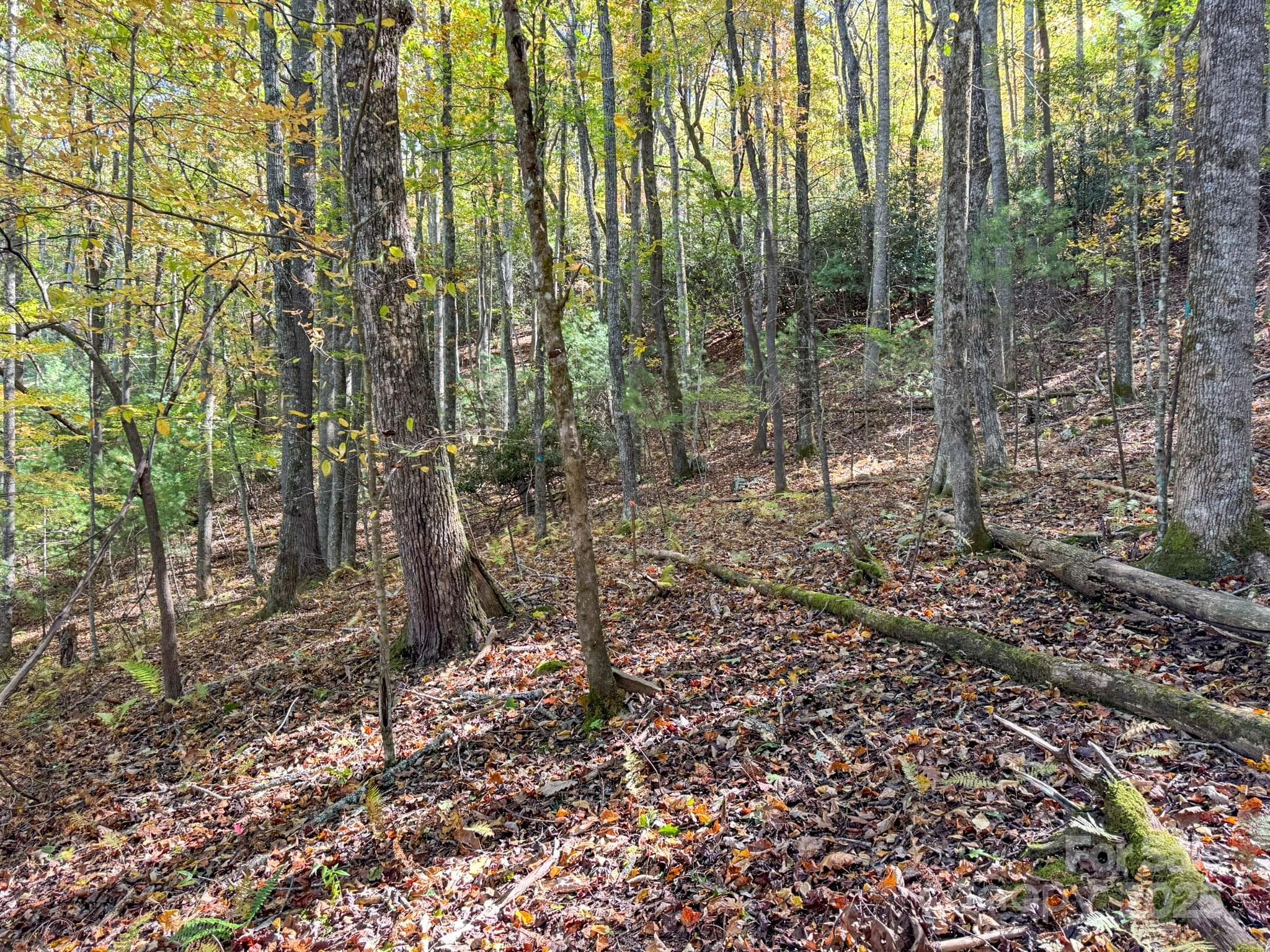 Lot at Arden, photo 6 of 25