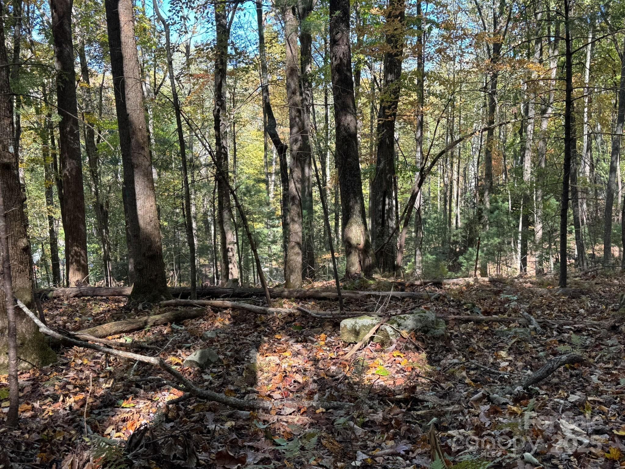 Lot at Arden, photo 7 of 25