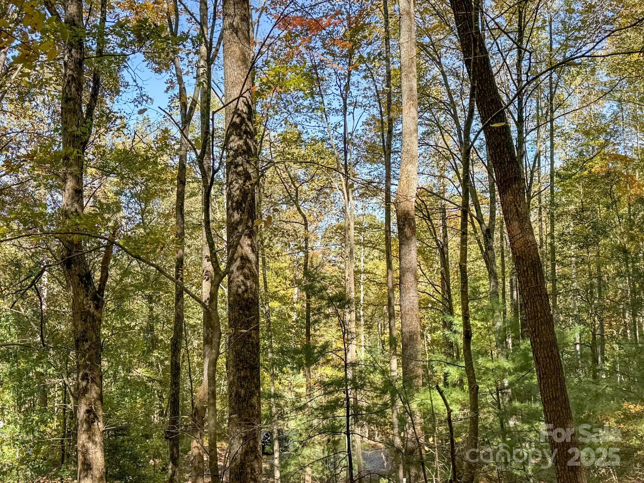 Lot at Arden, photo 9 of 25