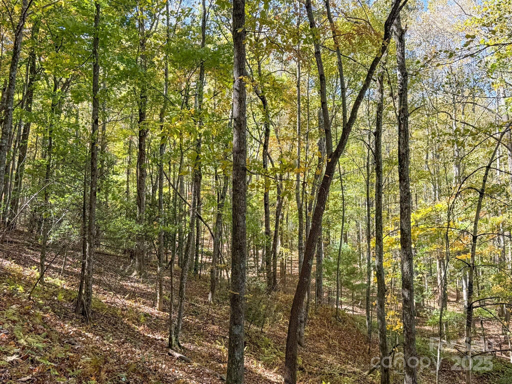 Lot at Arden, photo 10 of 25