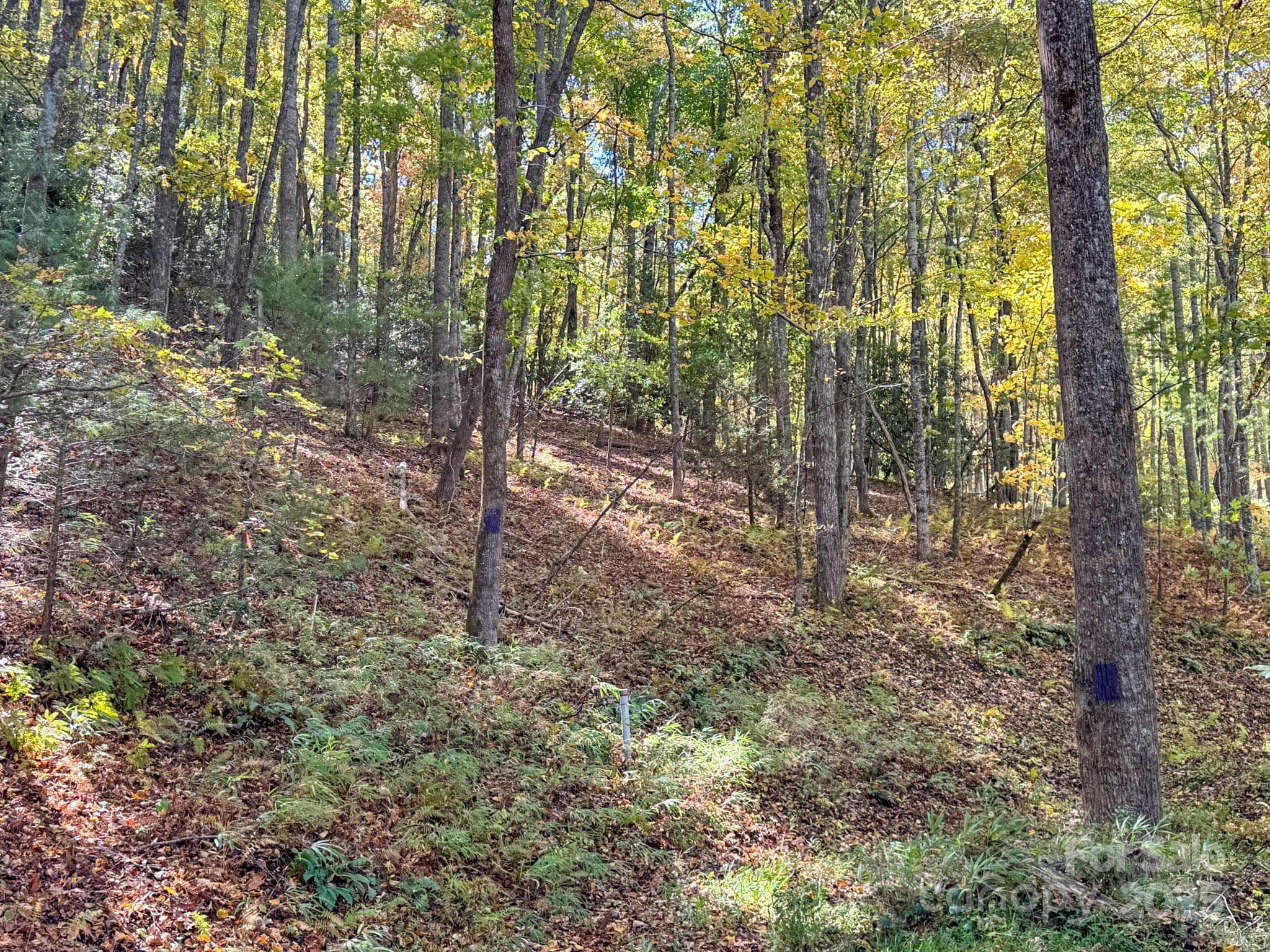 Lot at Arden, photo 13 of 25