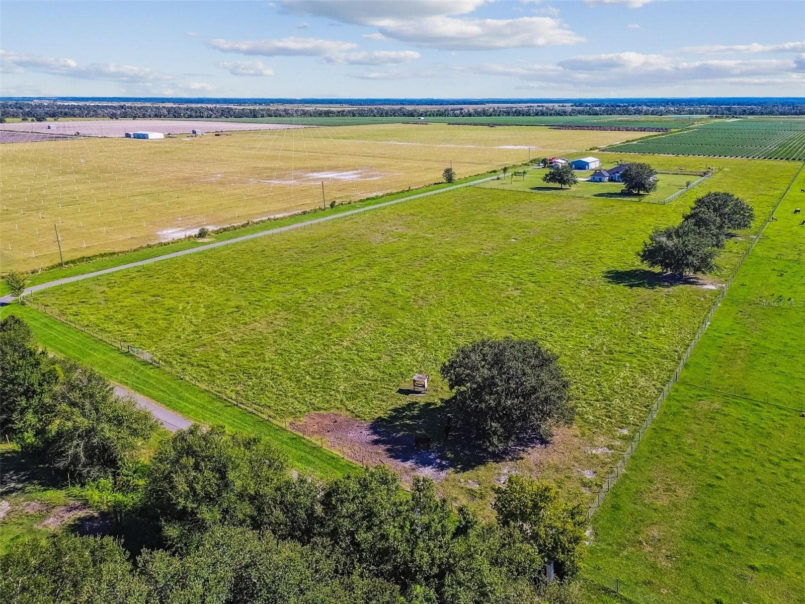 12.55 acres, fully fenced - 15639 SETH COUNTRY LN, WIMAUMA