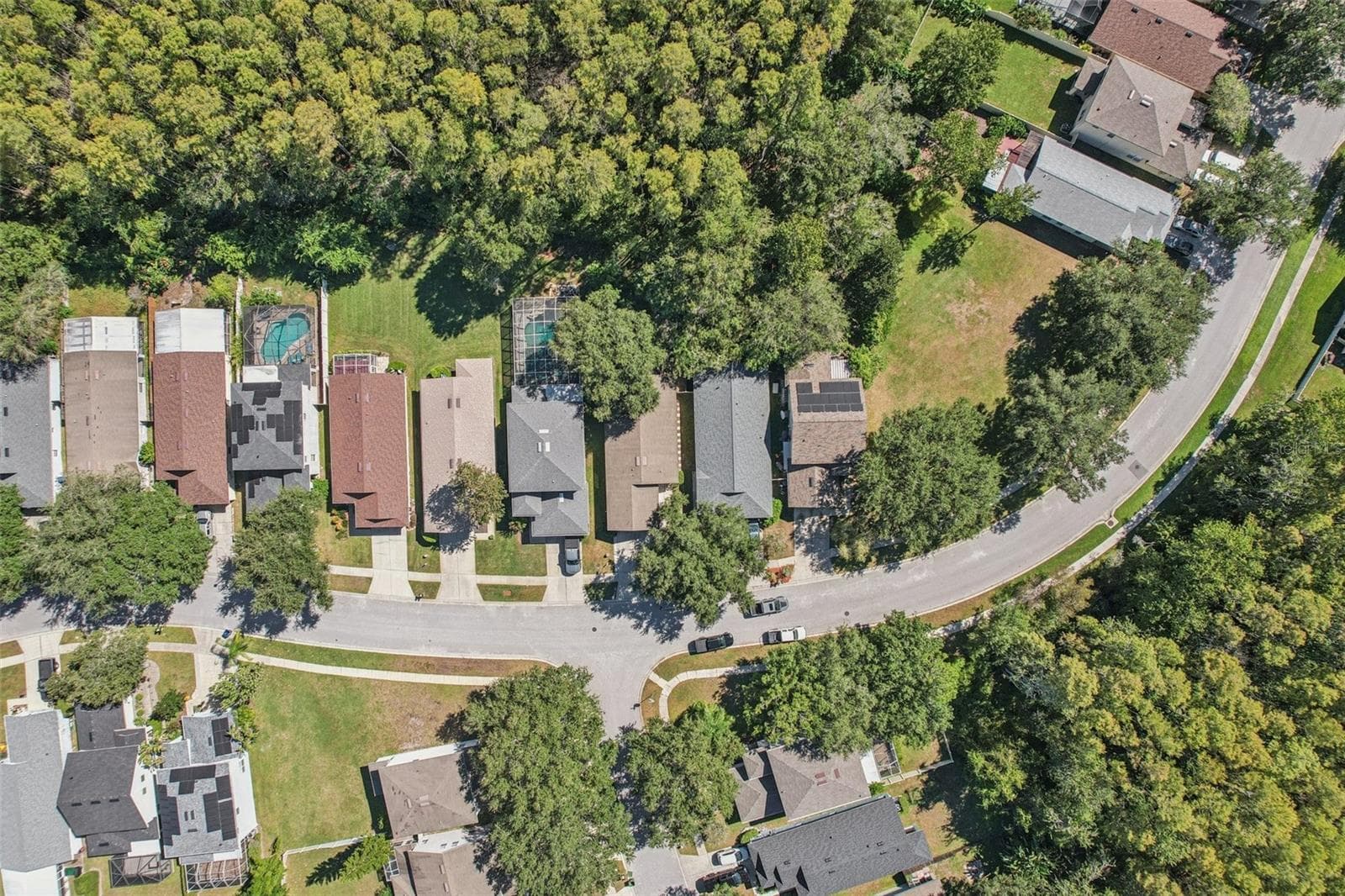 Single Family Residence at 7842 CITRUS BLOSSOM DR, LAND O LAKES, photo 37 of 76