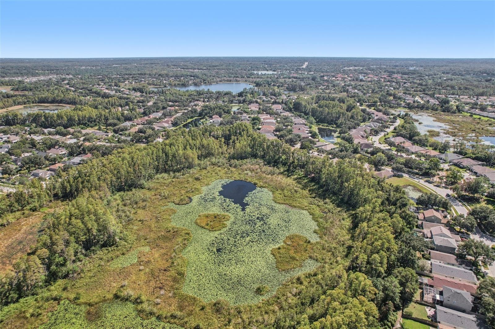 Single Family Residence at 7842 CITRUS BLOSSOM DR, LAND O LAKES, photo 38 of 76