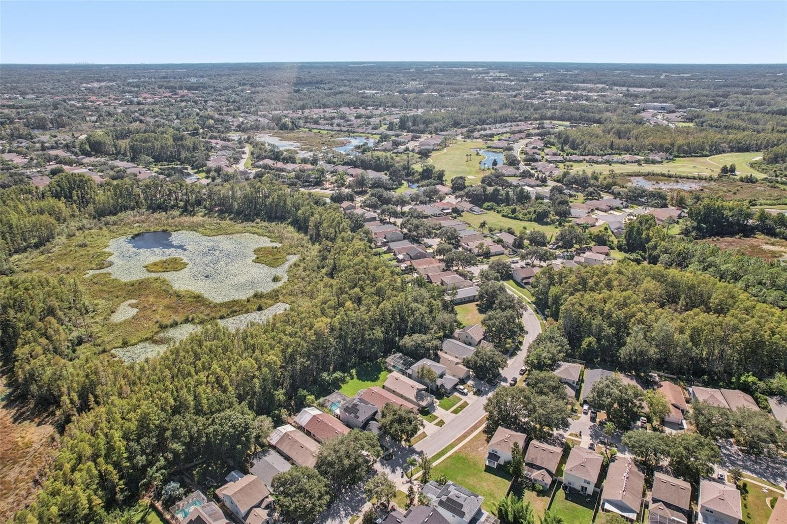 Single Family Residence at 7842 CITRUS BLOSSOM DR, LAND O LAKES, photo 42 of 76