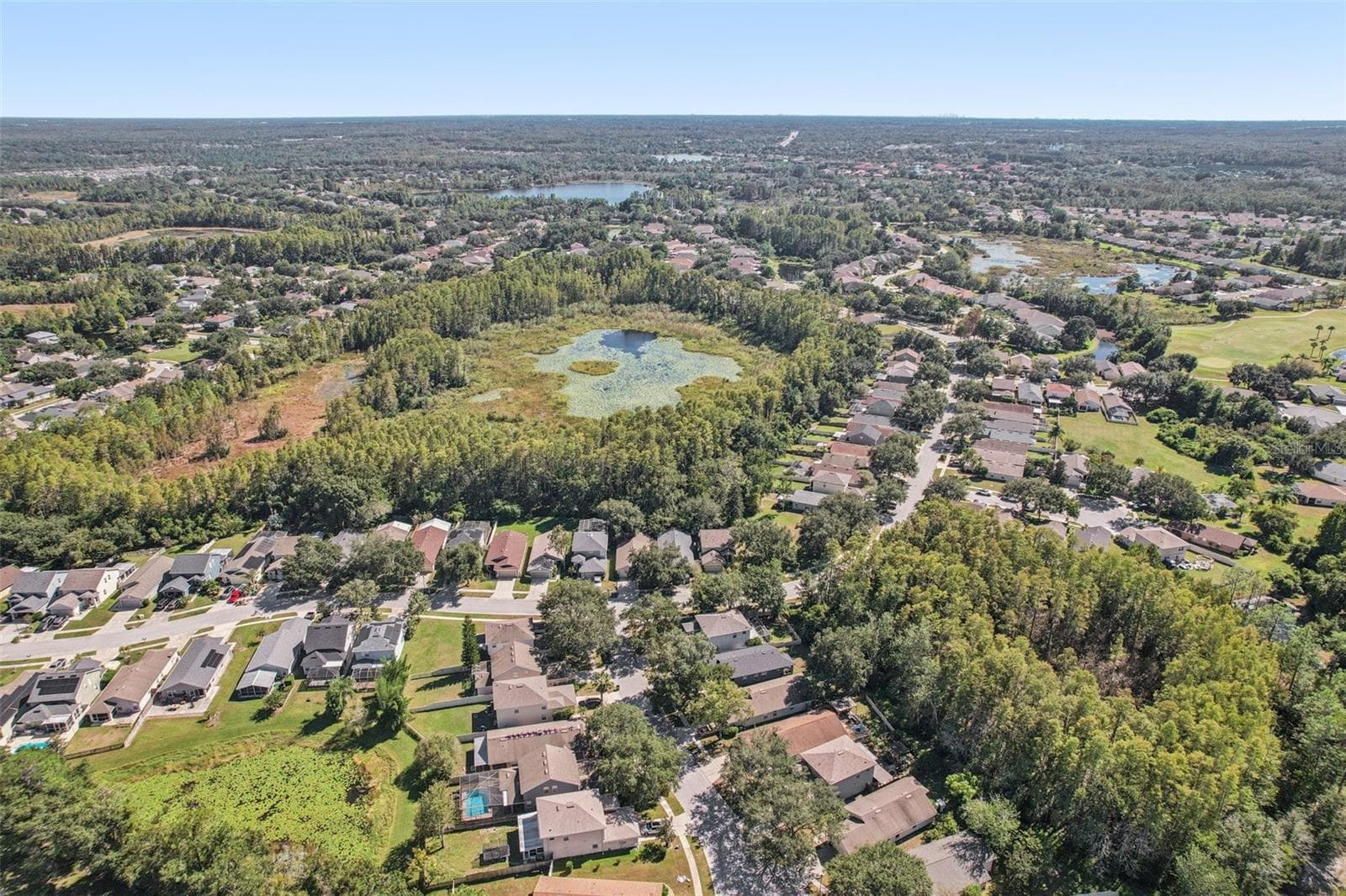 Single Family Residence at 7842 CITRUS BLOSSOM DR, LAND O LAKES, photo 43 of 76