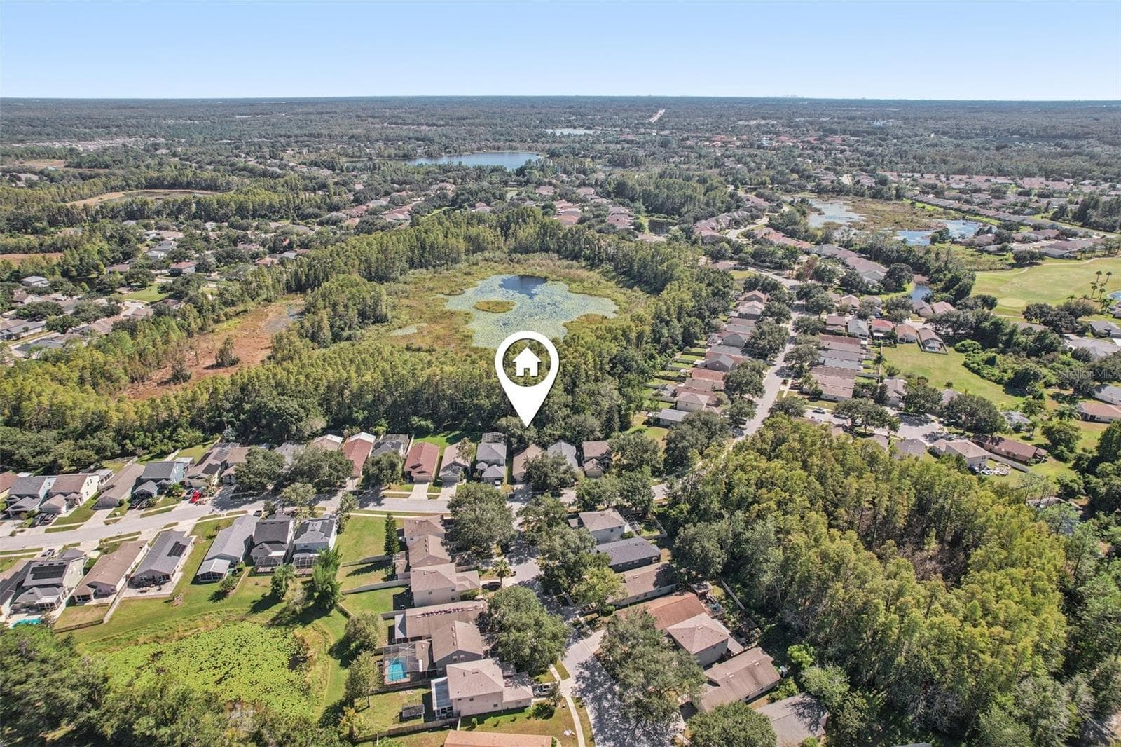 Single Family Residence at 7842 CITRUS BLOSSOM DR, LAND O LAKES, photo 44 of 76