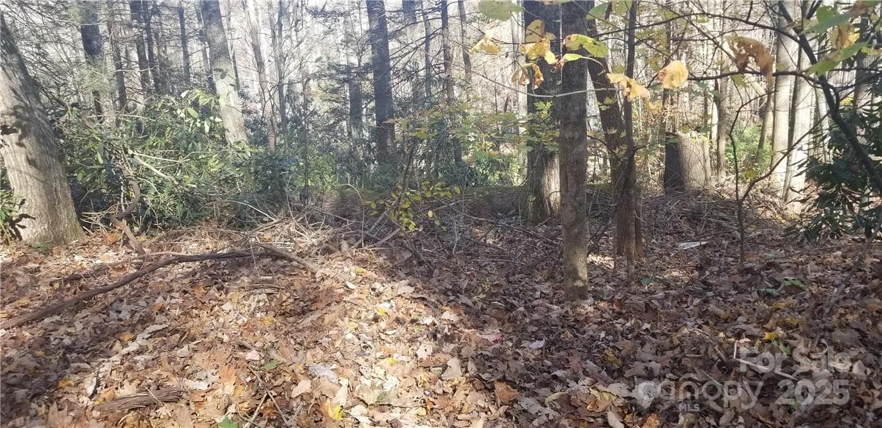 Lot at Maggie Valley, photo 6 of 23