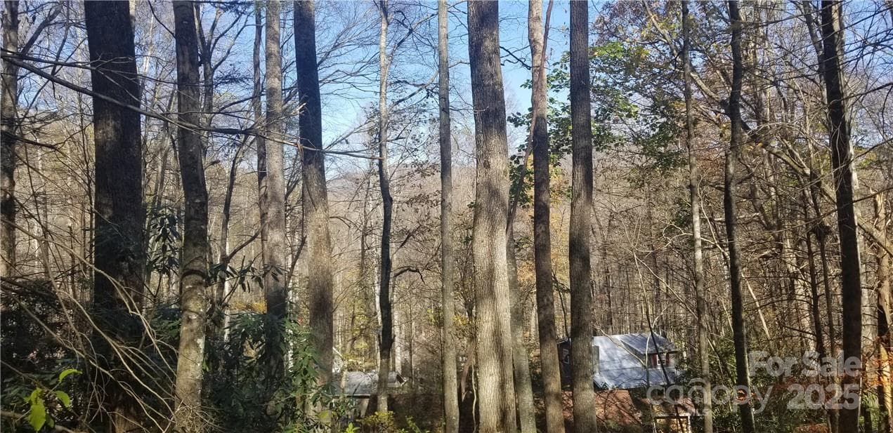 Lot at Maggie Valley, photo 7 of 23
