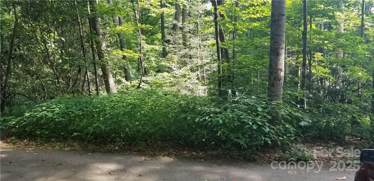 Lot at Maggie Valley, photo 8 of 23