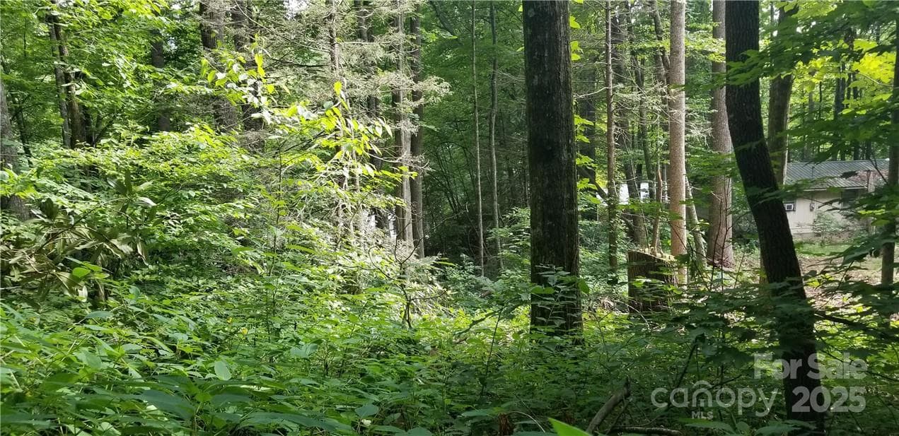 Lot at Maggie Valley, photo 9 of 23