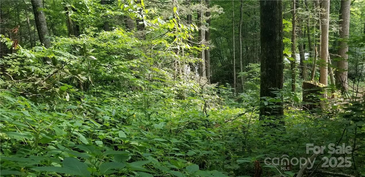 Lot at Maggie Valley, photo 10 of 23