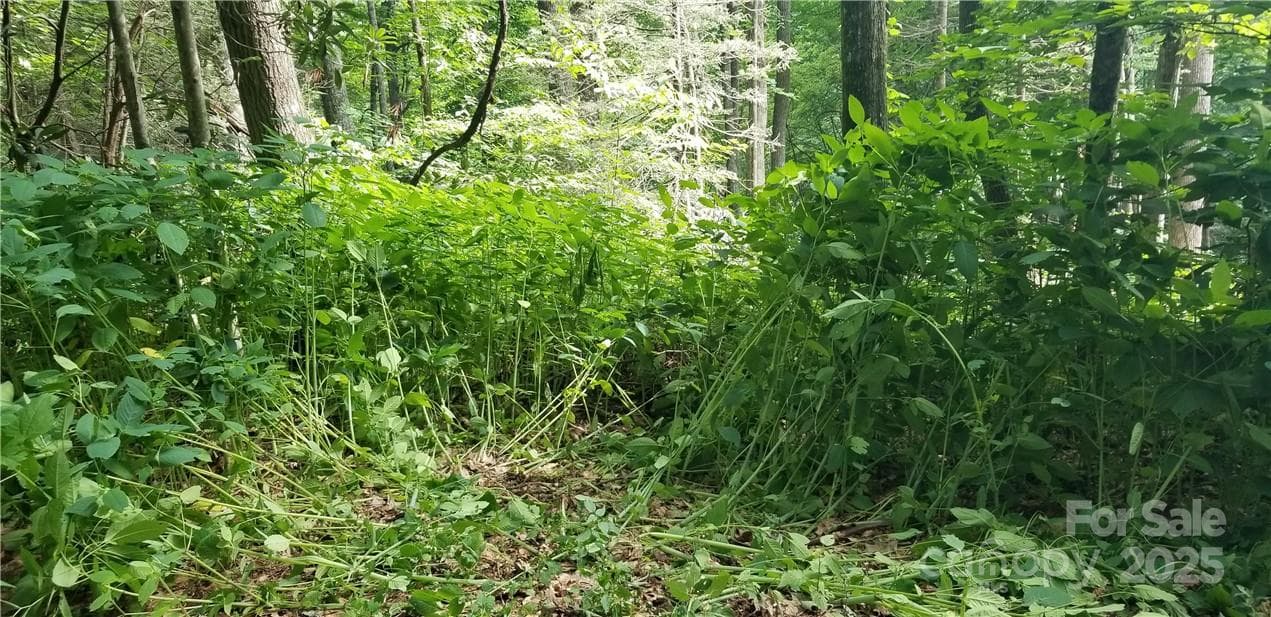 Lot at Maggie Valley, photo 11 of 23