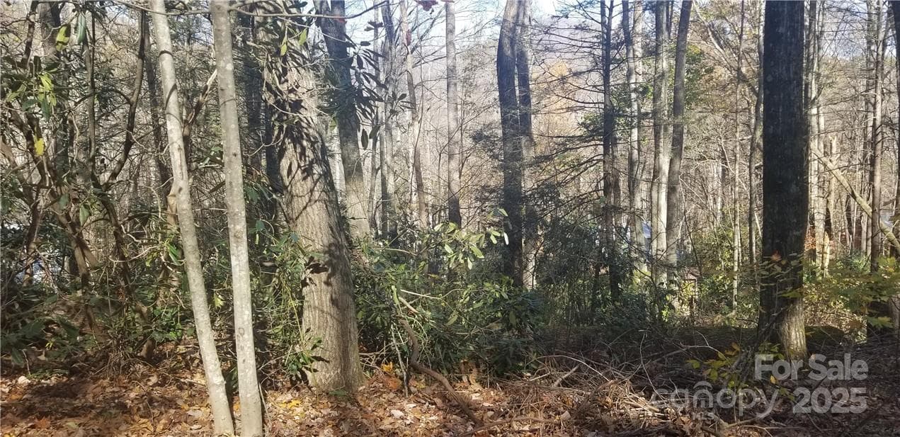 Lot at Maggie Valley, photo 14 of 23