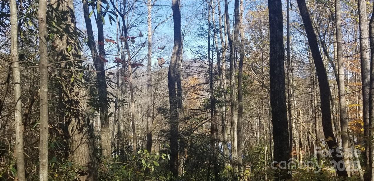 Lot at Maggie Valley, photo 15 of 23