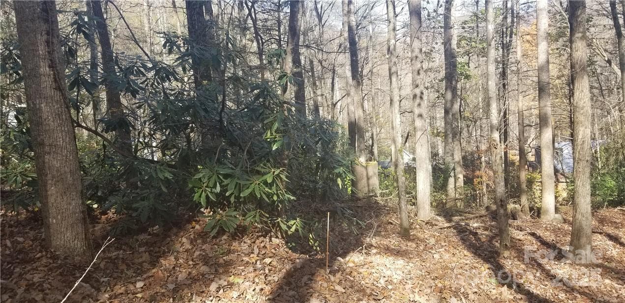 Lot at Maggie Valley, photo 16 of 23