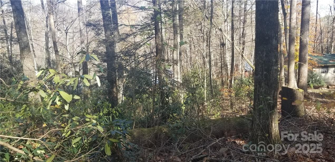 Lot at Maggie Valley, photo 17 of 23