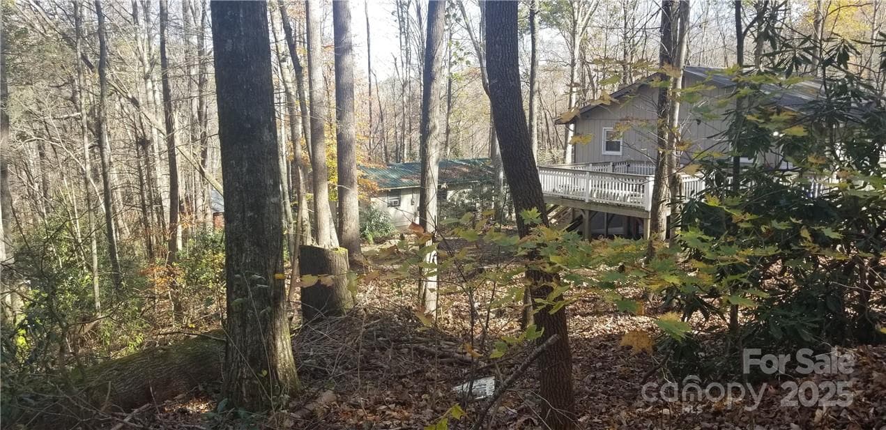 Lot at Maggie Valley, photo 18 of 23