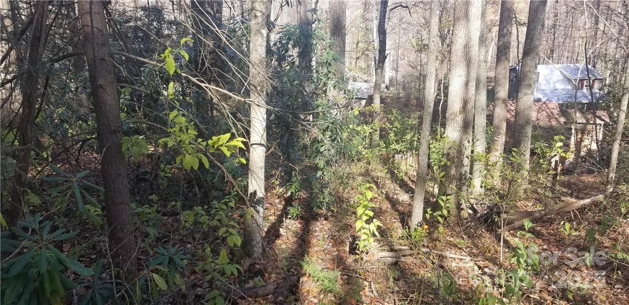 Lot at Maggie Valley, photo 20 of 23