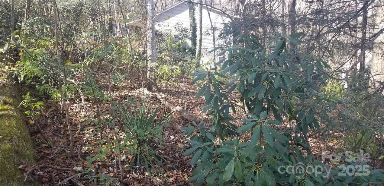Lot at Maggie Valley, photo 21 of 23