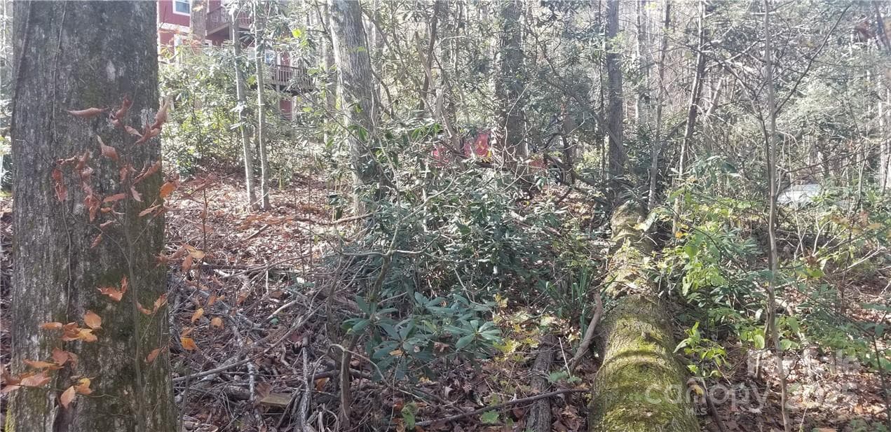 Lot at Maggie Valley, photo 22 of 23