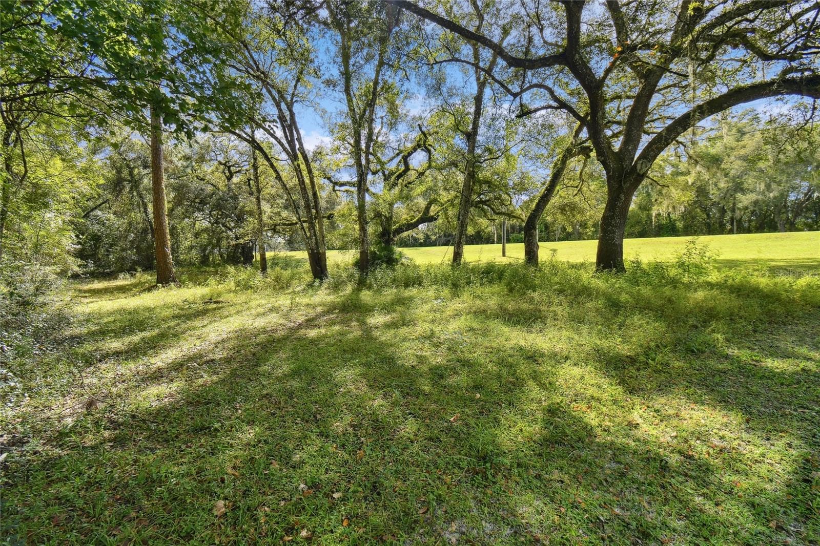 Single Family Residence at 3384 MCKETHAN RD, DADE CITY, photo 58 of 80