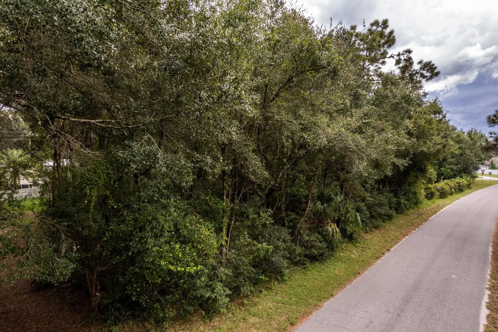 Land at INTERLACHEN DR, MOUNT PLYMOUTH, photo 2 of 15