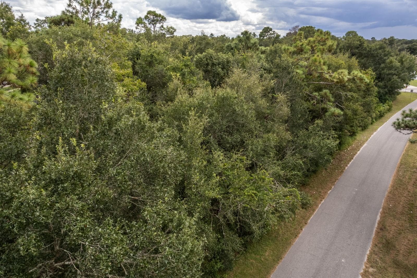 INTERLACHEN DR