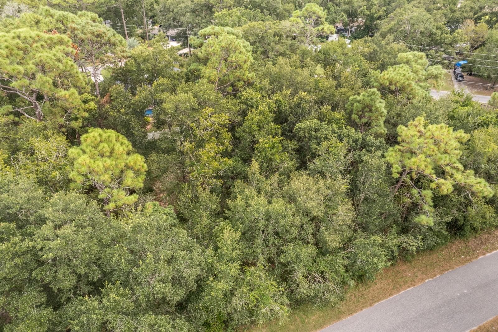 Land at INTERLACHEN DR, MOUNT PLYMOUTH, photo 4 of 15