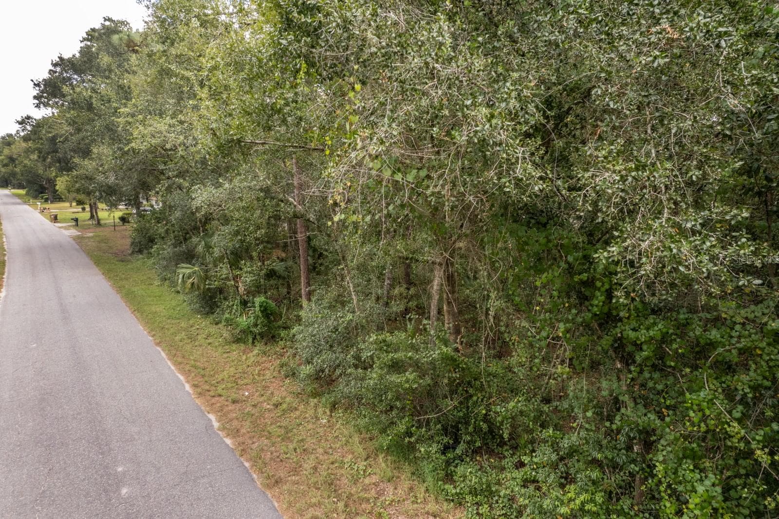 Land at INTERLACHEN DR, MOUNT PLYMOUTH, photo 14 of 15