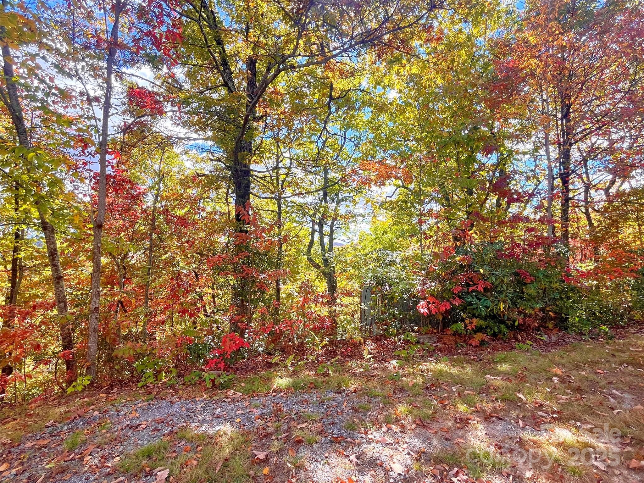 Looking at lot from road - Black Mountain