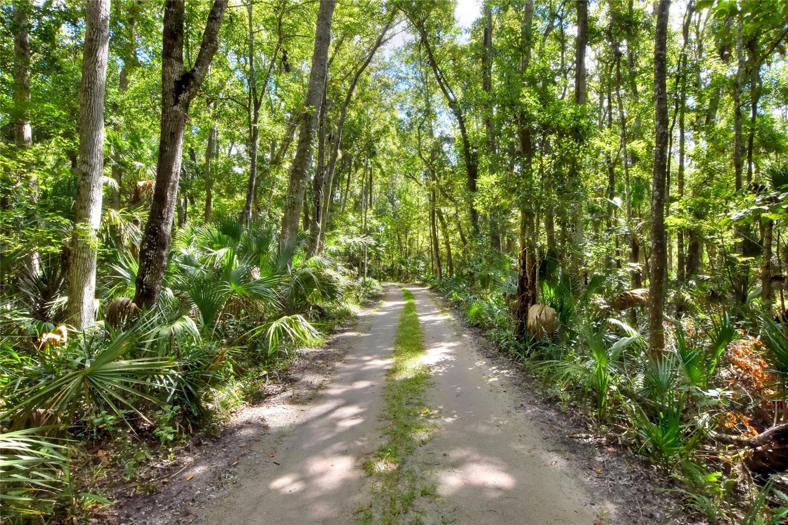 PINE ISLAND DR
