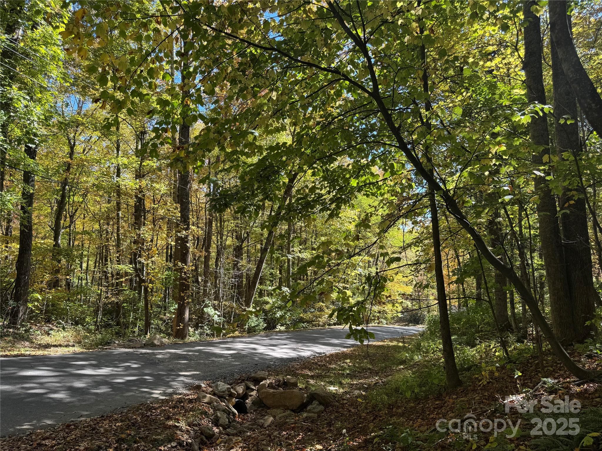 Lot at Black Mountain, photo 8 of 22