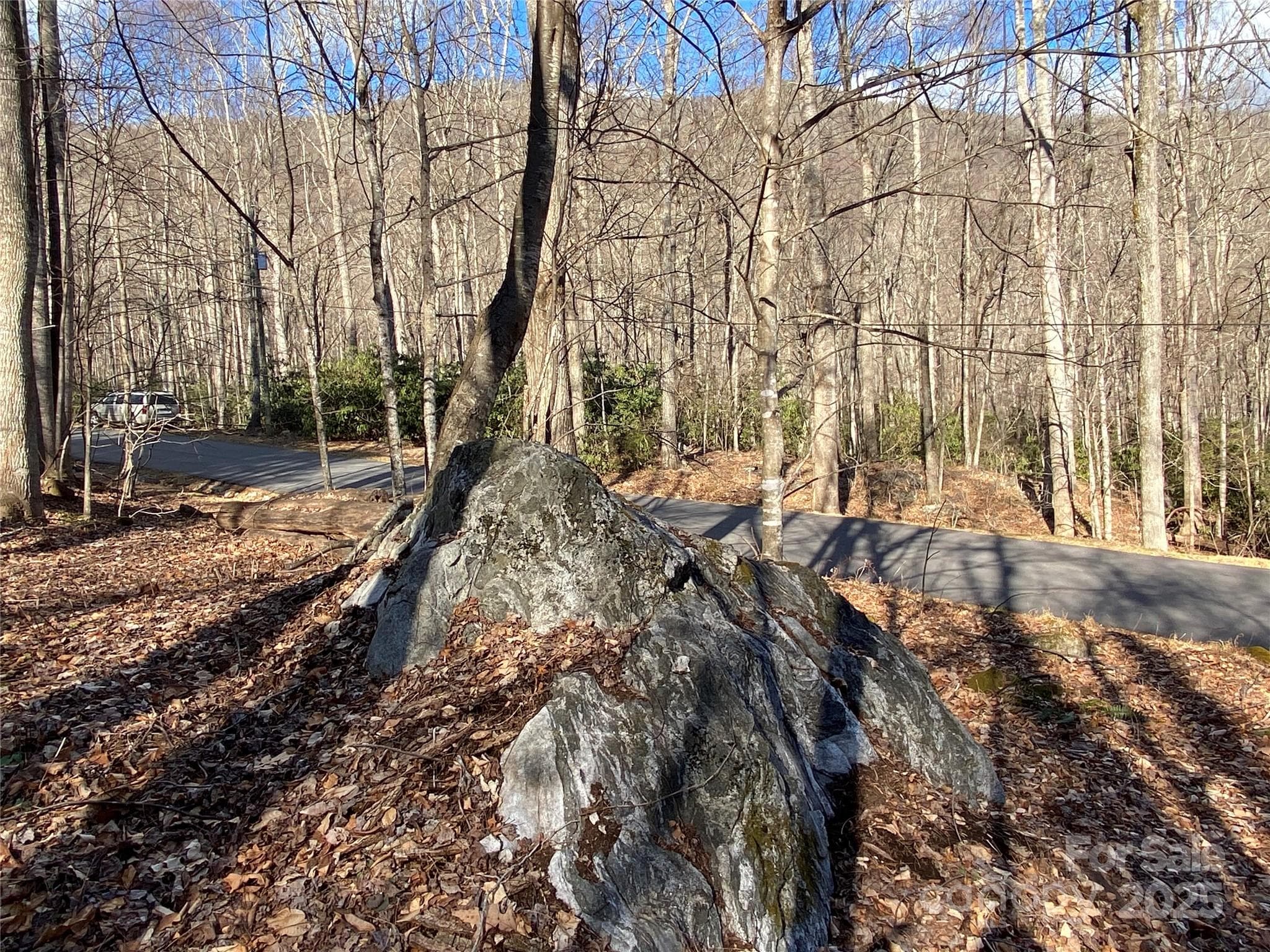 Lot at Black Mountain, photo 18 of 22