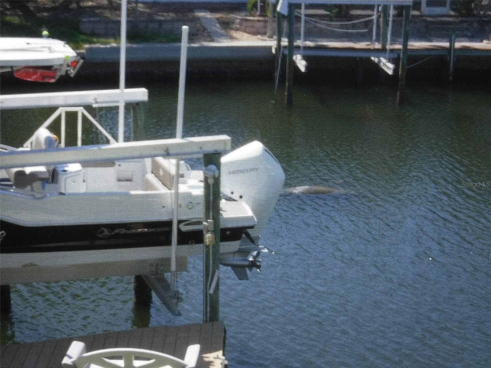 Manatee Floating in the Canal - 10313 WATERBIRD WAY, BRADENTON