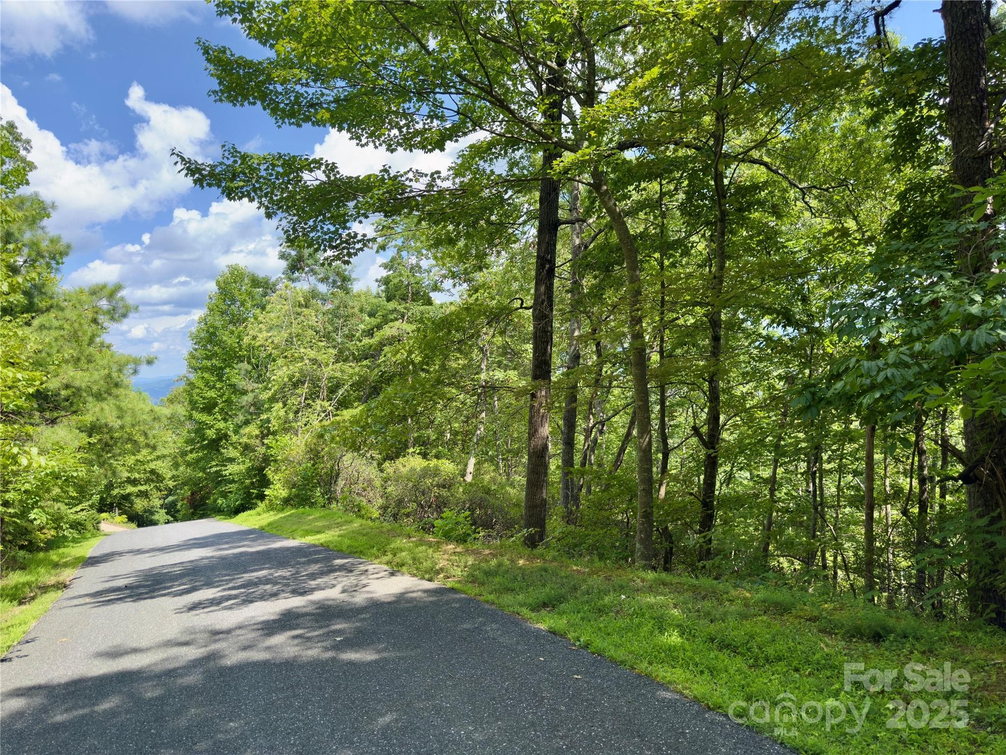Lot at Black Mountain, photo 2 of 11